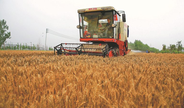 China ramps up efforts to reduce grain losses