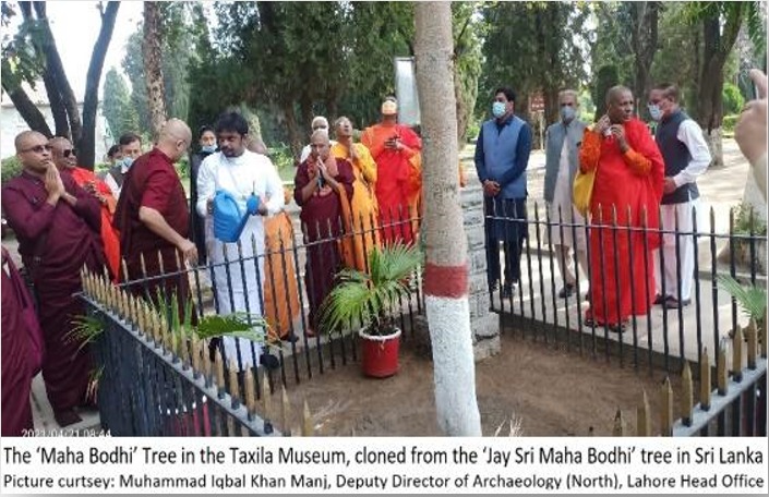 A journey into the centuries through Bodhi Tree