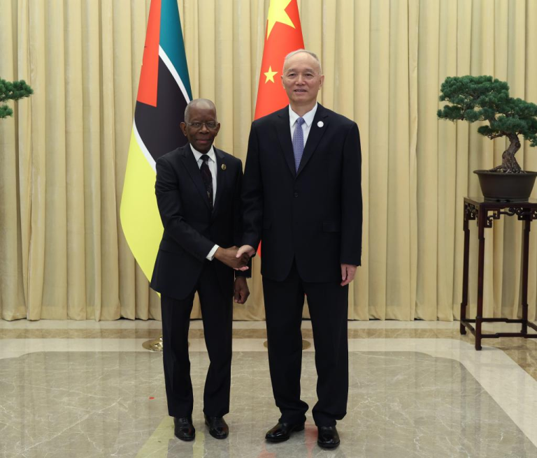 Senior CPC official meets Mozambican PM